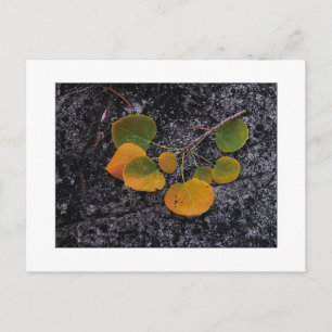 "Shades of Autumn" Briefkaart