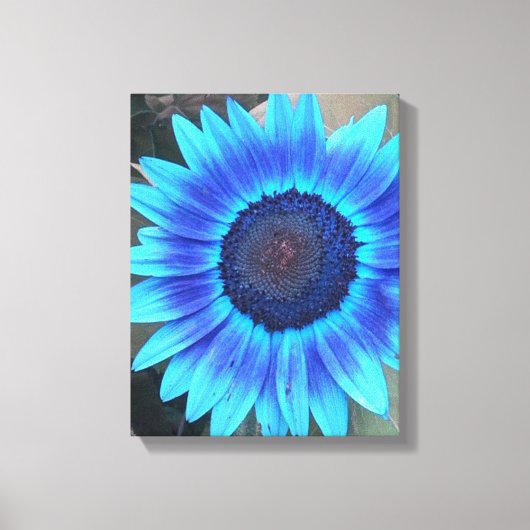 Shades of Blue Sunflower Wrapped canvas Afdrukken (Voorkant)