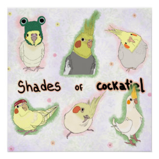 Shades of Cockatiel Perfect Poster