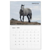 Shades of Gray Sand Wash Basin, Colorado Kalender (Mar 2026)