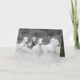 Shades of Grey - Wenskaart voor paarden Kaart