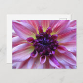 Shades of Paars Dahlia Sluiten het Briefkaart van  (Voorkant / Achterkant)