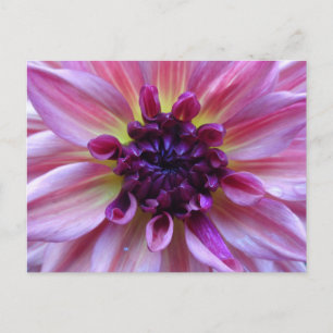 Shades of Paars Dahlia Sluiten het Briefkaart van