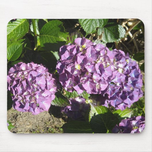 Shades of Paarse Hydrangea Muismat (Voorkant)