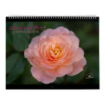 Shades of Roze kalender van 12 maanden