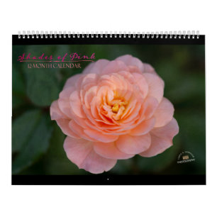 Shades of Roze kalender van 12 maanden