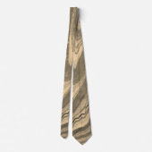 Shades of Taupe Brown and Beige Stone Abstract Stropdas (Achterkant)