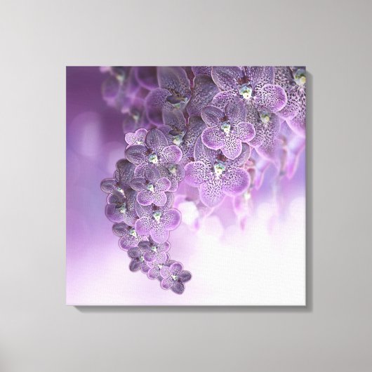 Shades of Violet Paarse Orchids Canvas Afdruk (Voorkant)