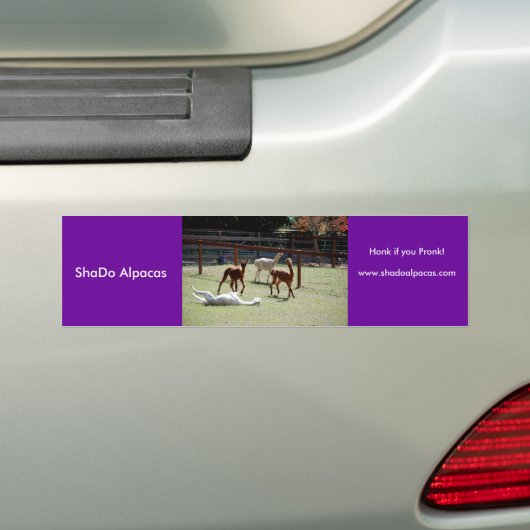 ShaDo Alpacas, Honk als je een pronk hebt. Bumpersticker (Op auto)