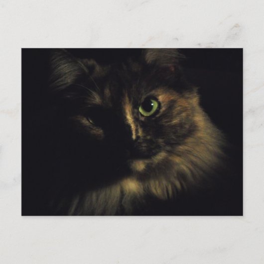 Shadow Cat Art Fotografie Green Eyes Kat Briefkaart (Voorkant)