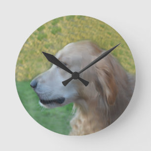 Shadow, de Gouden Retriever Ronde Klok