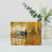 Shadow Duck Briefkaart (Staand voorkant)