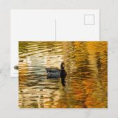 Shadow Duck Briefkaart (Voorkant / Achterkant)
