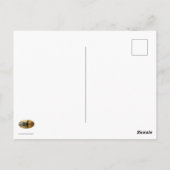 Shadow Duck Briefkaart (Achterkant)