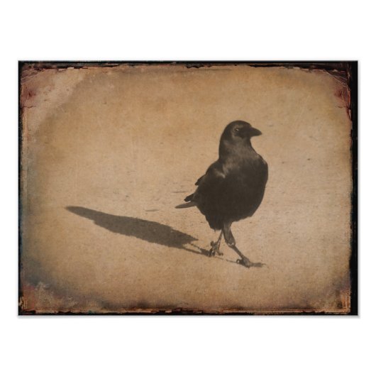 Shadow Foto Afdruk (Voorkant)