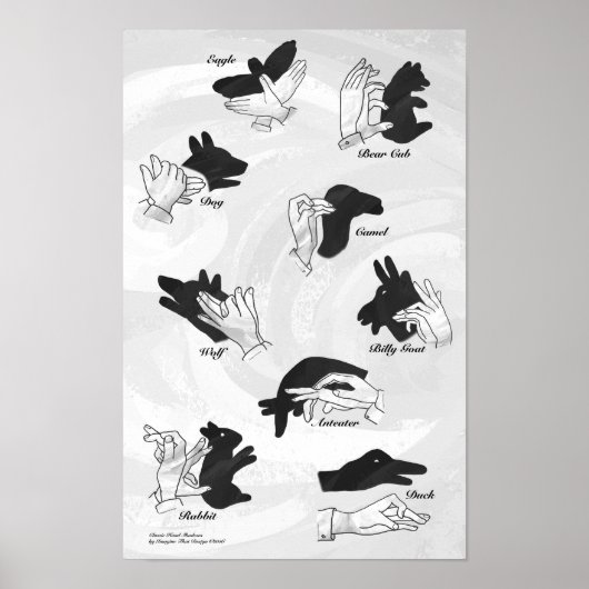 Shadow Puppets Poster (Voorkant)