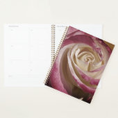 Shadow Roos Planner (Display)