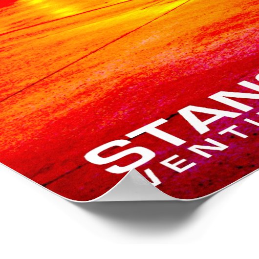 Shadow Stang Poster (Hoek)