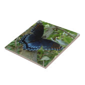 Shadowed Blue Butterfly Tegeltje (Zijkant)