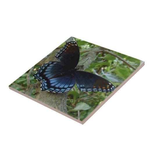 Shadowed Blue Butterfly Tegeltje (Zijkant)