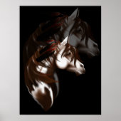 Shadowed Feathered Horse Poster (Voorkant)
