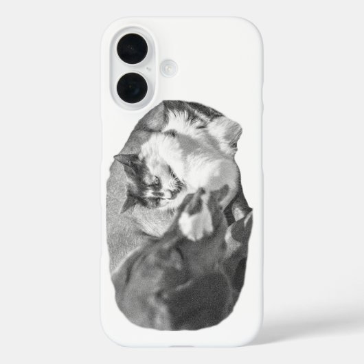 Shadowed Porch Companions Case-Mate iPhone Case (Achterkant)