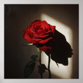 Shadowed Red Rose - Dramatische Chiaroscuro Bloeme Poster (Voorkant)