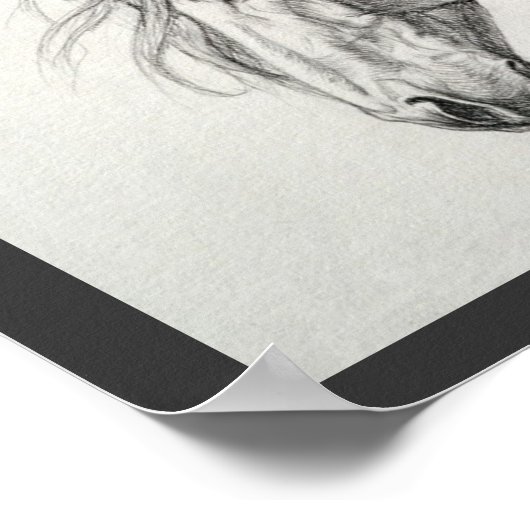 Shadowfax Poster (Hoek)