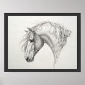 Shadowfax Poster (Voorkant)
