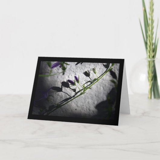 Shadows - Sympathiekaarten Bedankkaart (Voorkant)