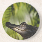 Shady Alligator onderzetter (Voorkant)