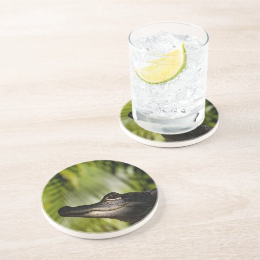 Shady Alligator onderzetter (Zijkant)