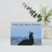 Shady Lady Bed en ontbijt Briefkaart (Staand voorkant)