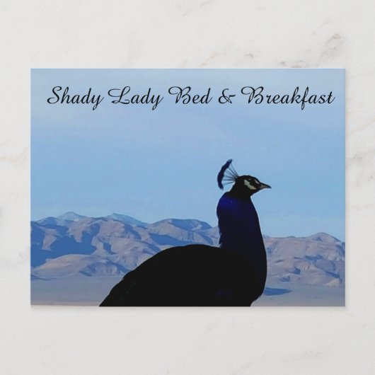 Shady Lady Bed en ontbijt Briefkaart (Voorkant)