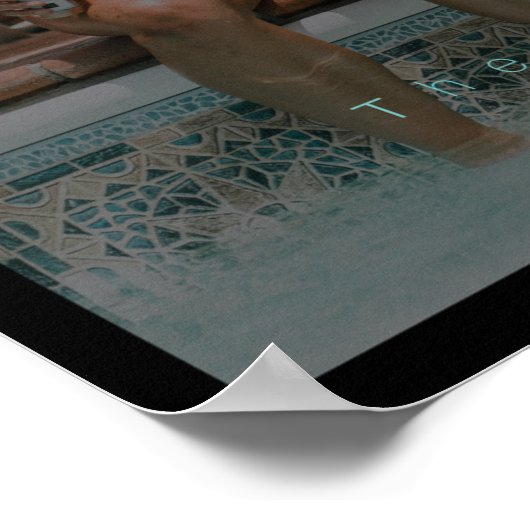 Shady Mist Poster (Hoek)