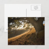 Shady Oak en California Susnet Briefkaart (Voorkant / Achterkant)