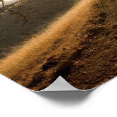 Shady Oak en California Susnet Print (Hoek)