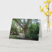 Shady Place om te ontspannen Wenskaart Kaart (Gele Bloem)