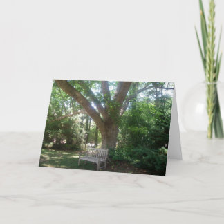 Shady Place om te ontspannen Wenskaart Kaart