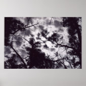 Shady Poster (Voorkant)