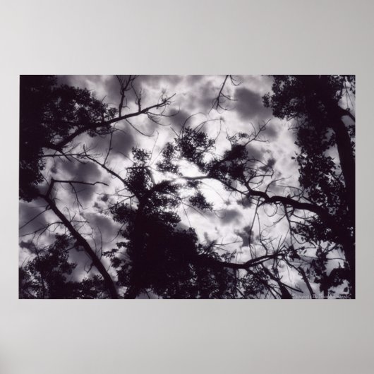 Shady Poster (Voorkant)