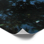 Shady River poster (Hoek)