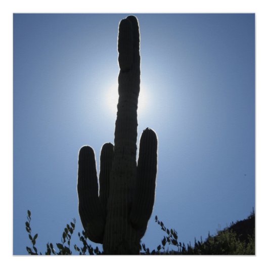 Shady Saguaro Perfect Poster (Voorkant)