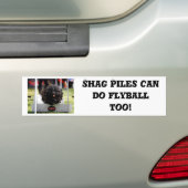 Shag Piles kan ook Flyball doen Bumpersticker (Op auto)