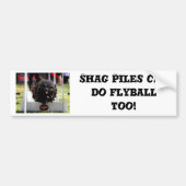 Shag Piles kan ook Flyball doen Bumpersticker (Voorkant)