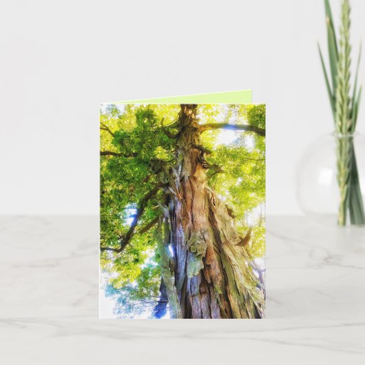 Shagbark Hickory Wenskaart Bedankkaart (Voorkant)