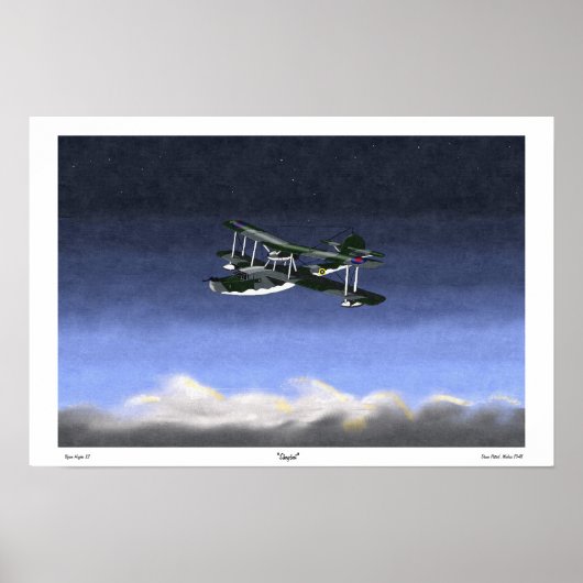 "Shagbat" Walrus Patrol Poster (Voorkant)