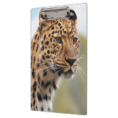 Shaggy Adult Cheetah in de Wilde Klembord (Links)