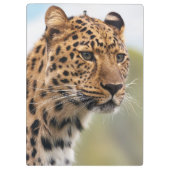 Shaggy Adult Cheetah in de Wilde Klembord (Achterkant)