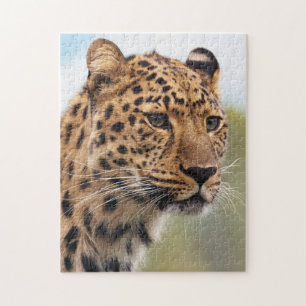 Shaggy Adult Cheetah in de Wilde Legpuzzel